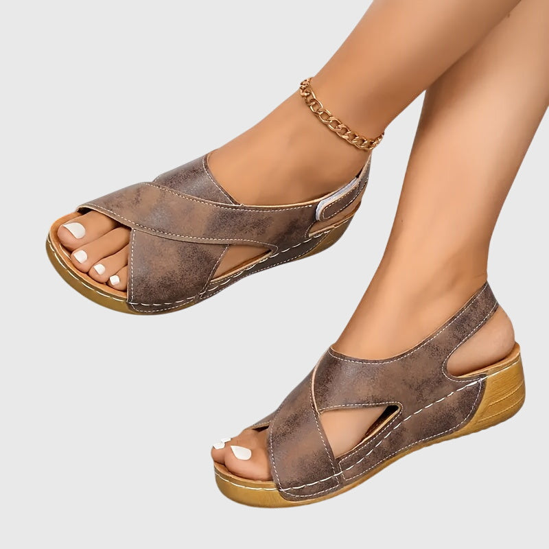 Brun Terre / 5 US | 36 EU