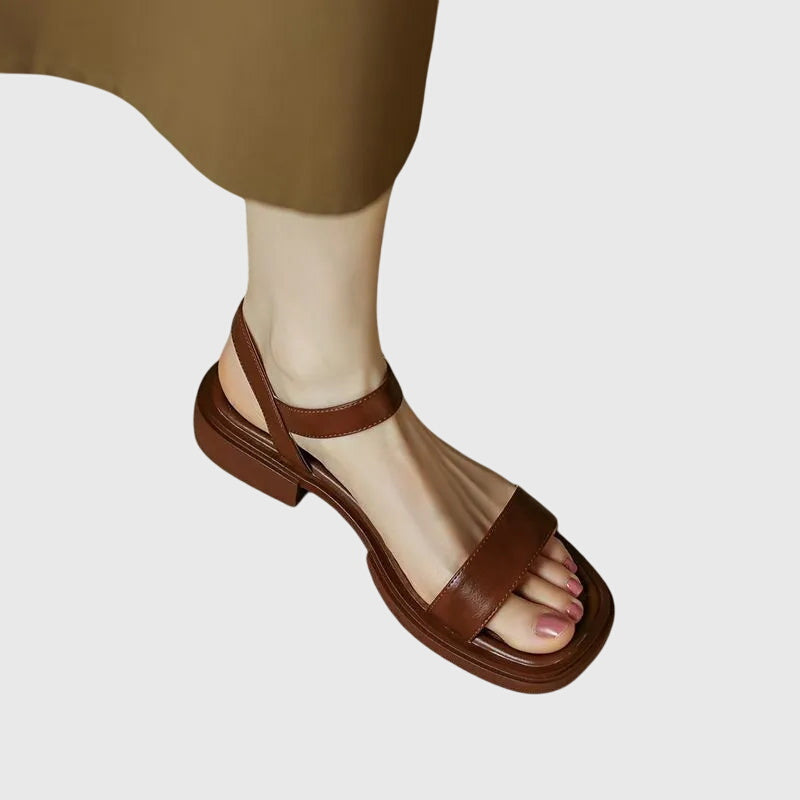 Marron / 3 US | 34 EU