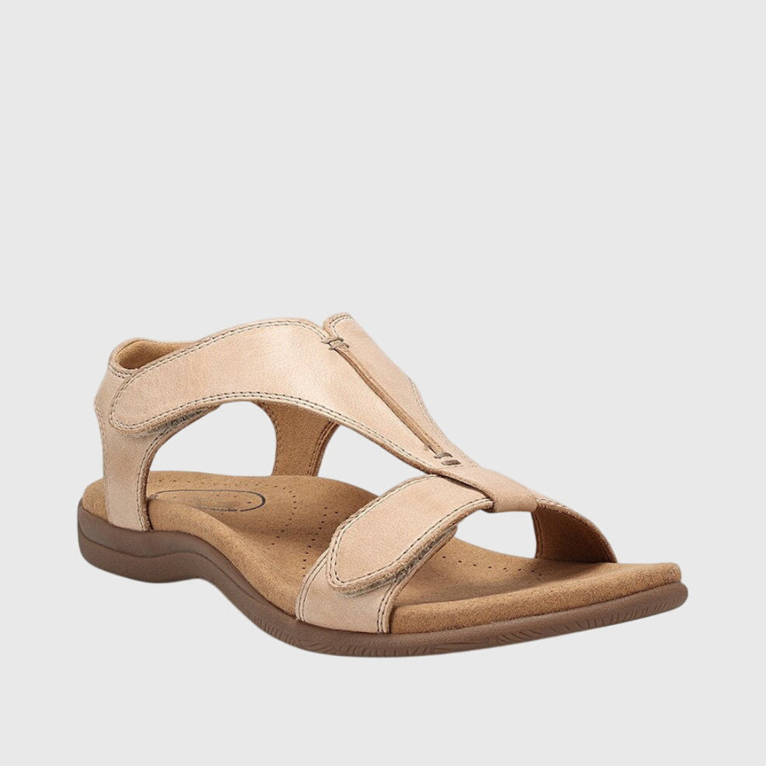 Beige / 12